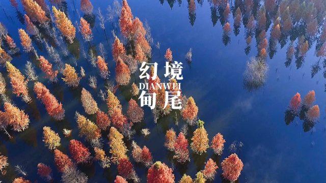 懒惰男孩逃脱